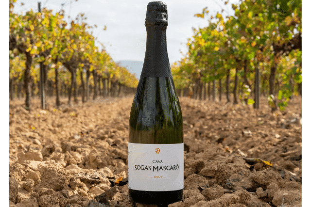 Brindando al Final del Verano: Descubre Cavas con Encanto