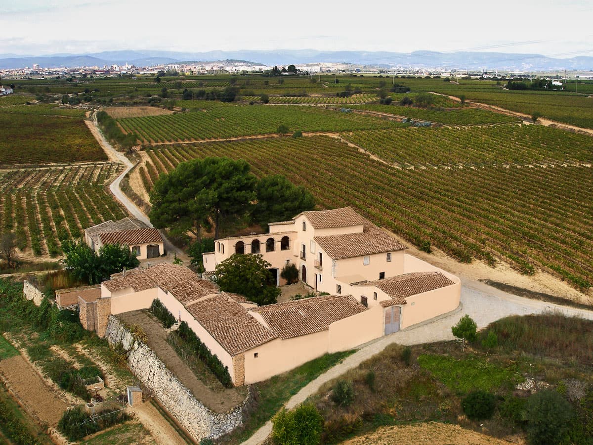 bodega cavas penedes